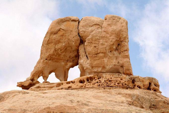 Le rocher de l'éléphant près de Um Sayhoun, Pétra - Jordanie