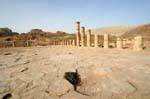 Colonnes autour du temenos du Grand Temple, Pétra Ville Basse, Jordanie.