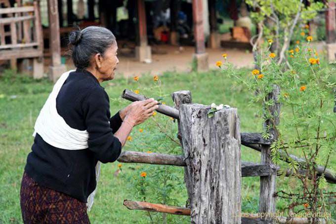 Prière du matin, Khong Island, Laos