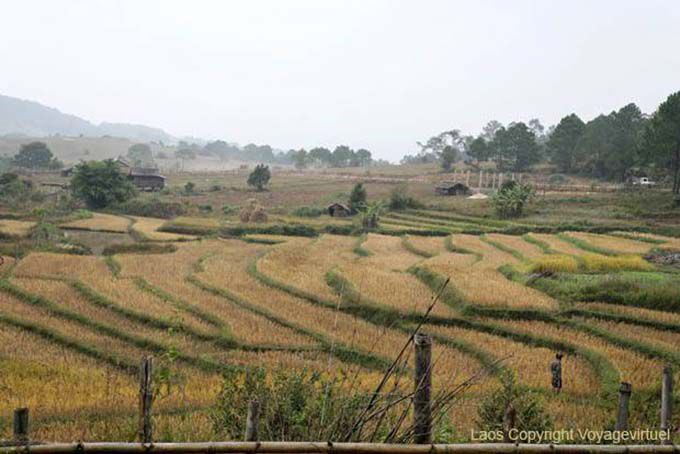 Champs sculptés, Xieng Khouang, Laos