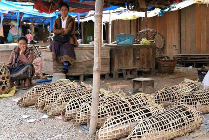 Vendeuses de porcs au marché de Phonsavan, Xieng Khouang, Laos