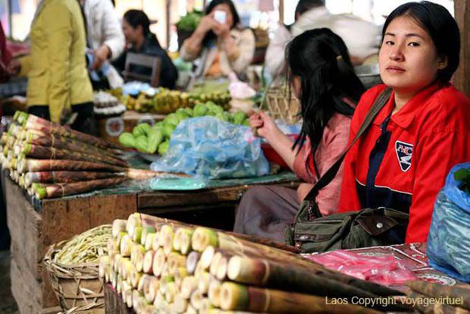 Riz gluant dans canne à sucre, Xieng Khouang, Laos