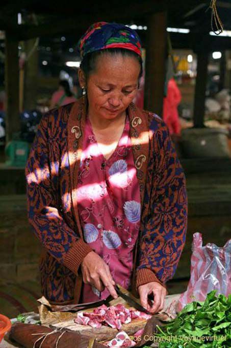 Laotienne à la coupe, Xieng Khouang, Laos