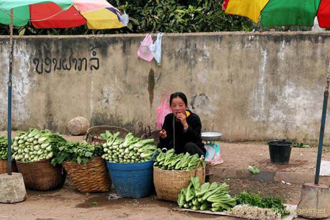 Bon appétit au marché de légumes, Xieng Khouang, Laos