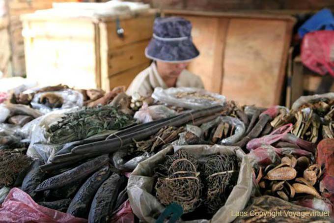 Pharmacopée de marché laotien, Xieng Khouang, Laos