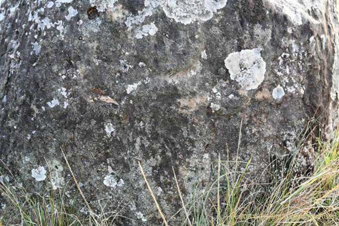 Détail de sculpture sur jarre, Plaine des Jarres, Laos