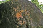 Elephant en bas-relief sur rocher, Wat Phou, Laos.