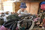 Pharmacopée de marché laotien, Xieng Khouang, Laos.
