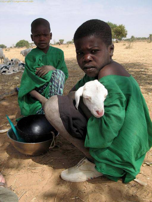 Debecurumba Minis Bergers Mali