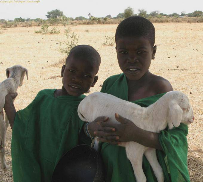 Debecurumba Minis Moutons Mali