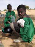 Debecurumba, portrait de mini bergers, Mali.
