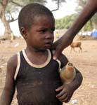 Portrait d'enfant, village des Griots, environs de Sokoura, Mali.
