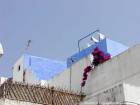 Bleu-blanc, terrasse d'Asilah, Maroc.