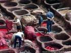 Trempage carmin pour les peaux, tannerie de Fès, Maroc.