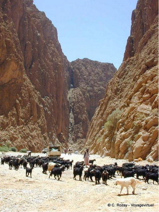 Gorges du Toudra (Todgha) vers Tinghir - Maroc