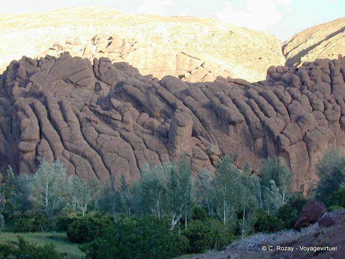 Doigts de singe, vallée du Dadès - Maroc