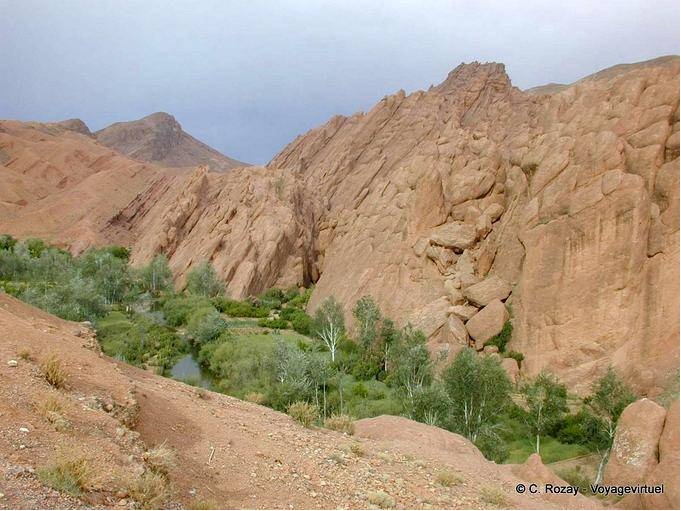 Plissement rocheux et verdure au creux des gorges du Dadès - Maroc