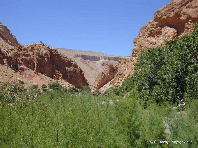 Verdure et aridité de la Vallée des Roses - Maroc