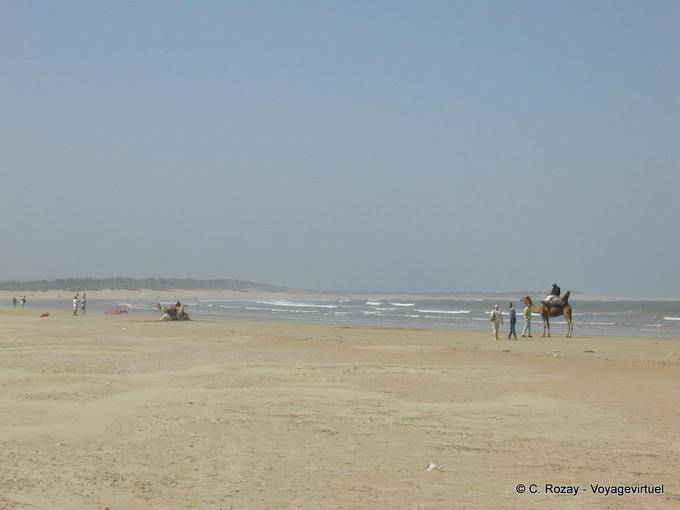 Essaouira, la grande plage Tagharte - Maroc
