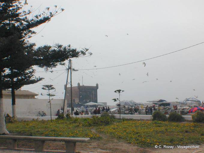 La citadelle génoise vue depuis un jardin, Essaouira - Maroc