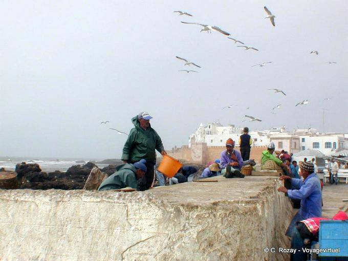 Essaouira, marins au travail sur le port - Maroc