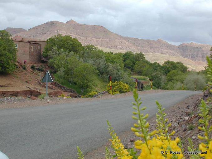 Paysage verdoyant entre Marrakech et Ouarzazate - Maroc