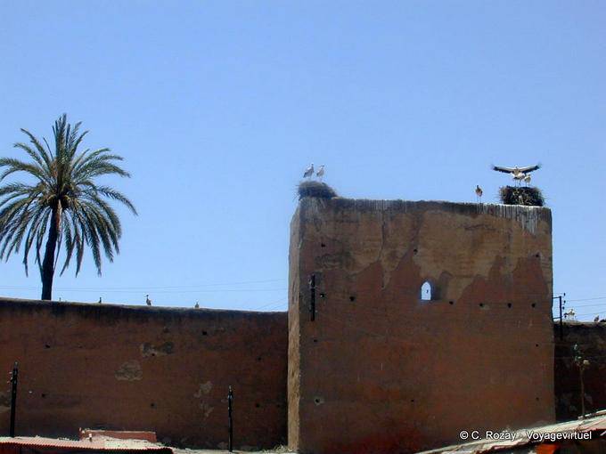 Cigognes nichées sur les remparts, Marrakech - Maroc