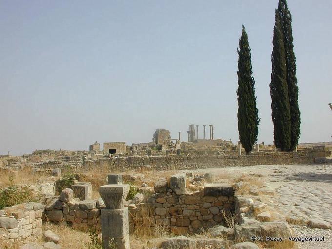 Volubilis ruines romaines - Maroc