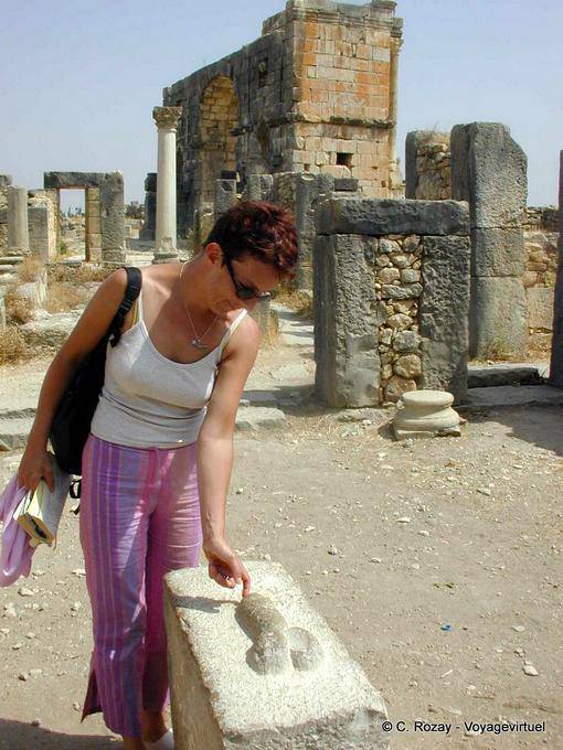 Phallus de pierre, Sexus grattus rigolus, Volubilis - Maroc
