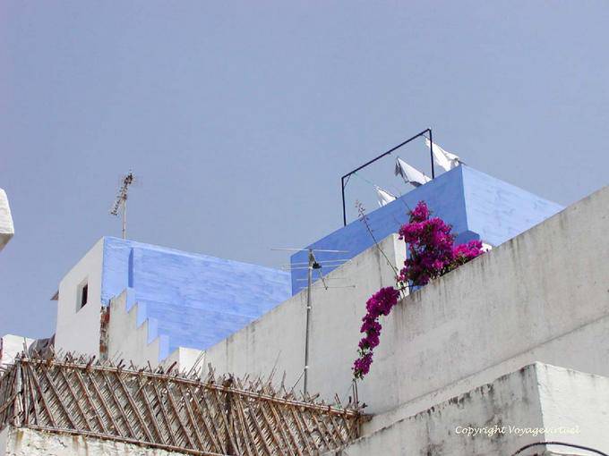 Bleu-blanc, terrasse d'Asilah - Maroc