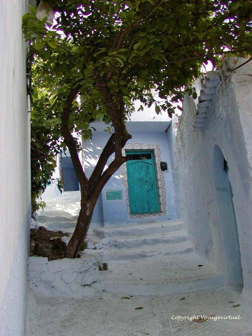 Oranger dans les escaliers, Chefchaouen - Maroc