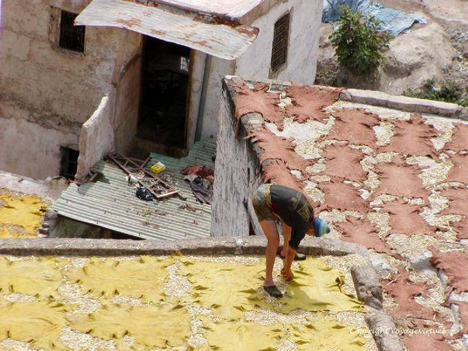 Le séchage des peaux au soleil sur les terrasses de Chouara, Fès - Maroc