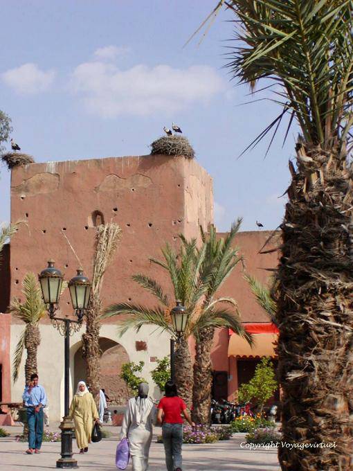 Cigognes sur la porte de la place des Ferblantiers, Marrakech - Maroc