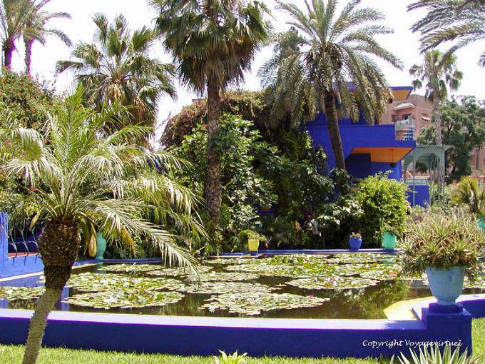 Plan d'eau du Bassin aux nénuphars, Jardin Majorelle, Marrakech - Maroc
