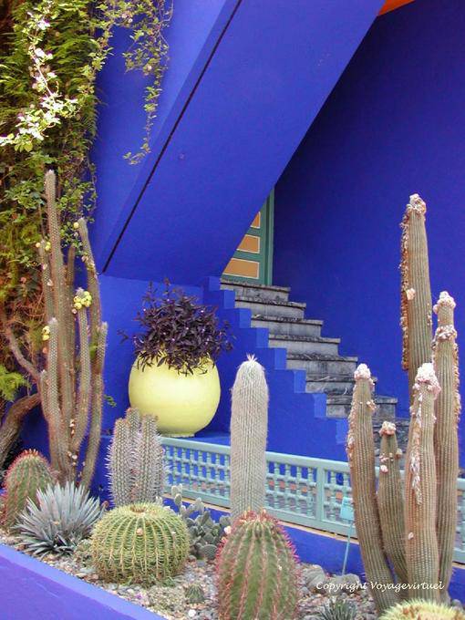 Angle bleu et collection de cactées, Jardin Majorelle Marrakech - Maroc