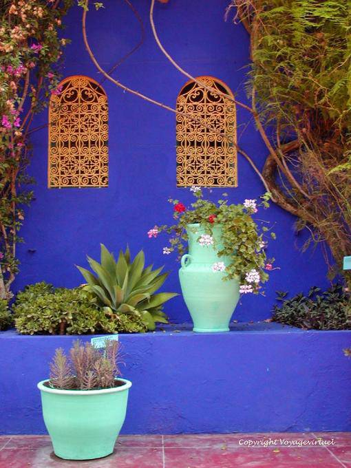 Contraste de couleurs, Jardin Majorelle, Marrakech - Maroc