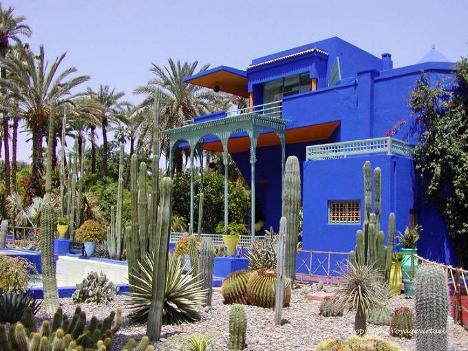 Famille de cactées vers le musée Berbère, Jardin Majorelle, Marrakech - Maroc
