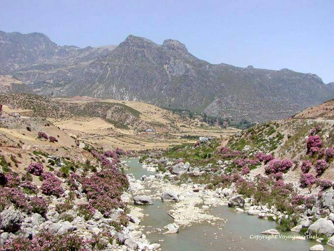 Paysage depuis le lit de l'Oued Laou, environs de Derdara - Maroc