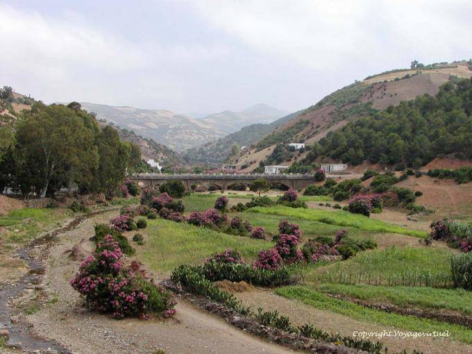 Un pont vers Amsa, route de Tétouan - Maroc