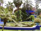 Plan d'eau du Bassin aux nénuphars, Jardin Majorelle, Marrakech, Maroc.