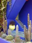 Angle bleu et collection de cactées, Jardin Majorelle Marrakech, Maroc.
