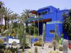 Famille de cactées vers le musée Berbère, Jardin Majorelle, Marrakech, Maroc.