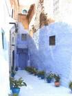 Rue des plantes en pots, Chefchaouen, Maroc.