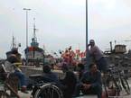 Attente au port face aux chalutiers, Essaouira, Maroc.