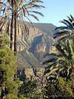 Vallée du Paradis, palmiers et paysage, Maroc.
