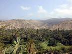 Oasis de la vallée du Paradis, Maroc.