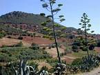 Azigza, Terre rouge et verte, environs de Khenifra, Maroc.