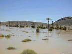 Lac formé par le miracle de la pluie, dans le désert vers Merzouga, Maroc.