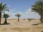 Merzouga, une des portes du désert du Sahara, Maroc.
