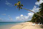 Plage des Salines, Martinique.
